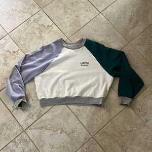 Levi’s Two tone lavender and teal sweater